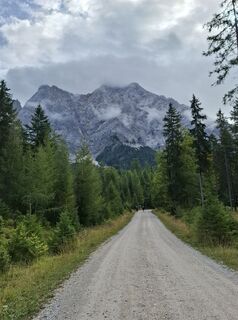 Fotografija s spletne strani Luc Luyckx na poti