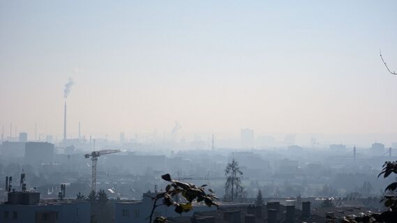 Fotografija s spletne strani Klaus Lehner na poti