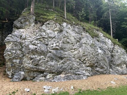 Photo de Moritz Merkel le long du parcours