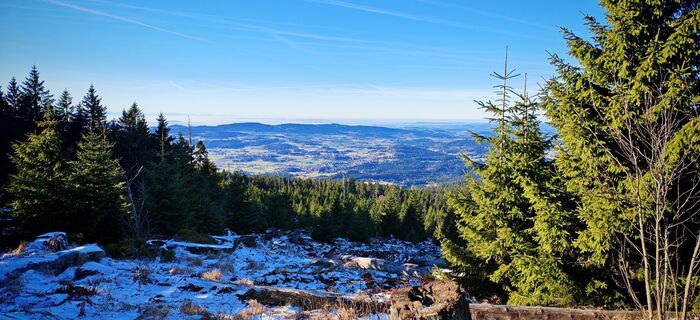 Fotografia z ReginaSt na trase