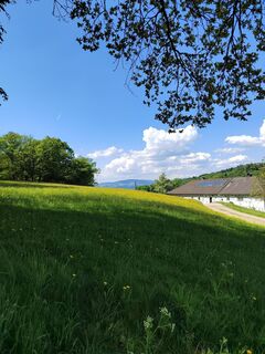 Foto fra ReginaSt undervejs på turen