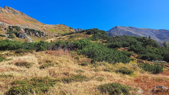 Photo de Anna Wilding le long du parcours