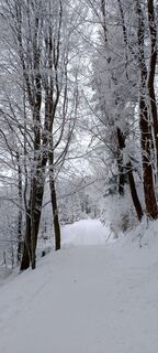 Photo de Sylwiasuchy76 le long du parcours