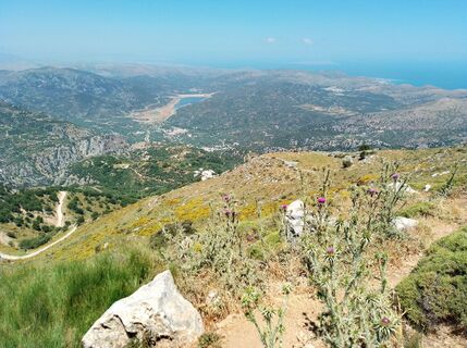 Photo de MopsBiene le long du parcours