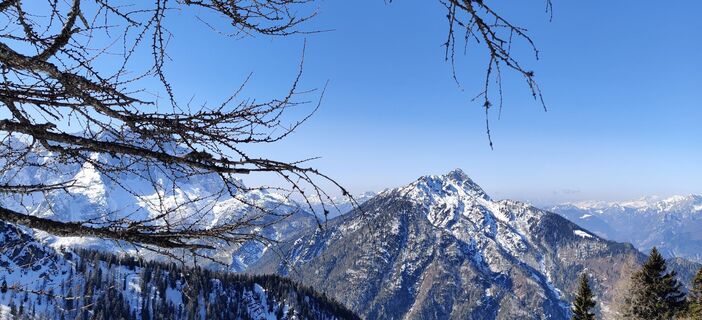 Fotografija s spletne strani Andrea Flechl na poti