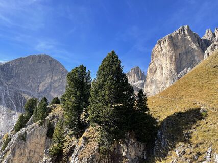 Fotografia z Guglielmo Battocletti na trase