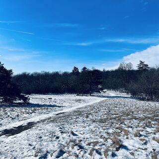 Foto de Bacskai János a lo largo del recorrido