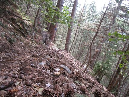 Eine kleine Hohe Wand Runde