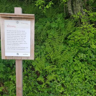 Witzweg Surcuolm