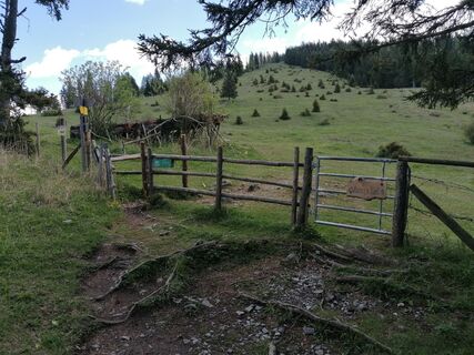 Kuva osoitteesta Dragoljub Ilic matkan varrella