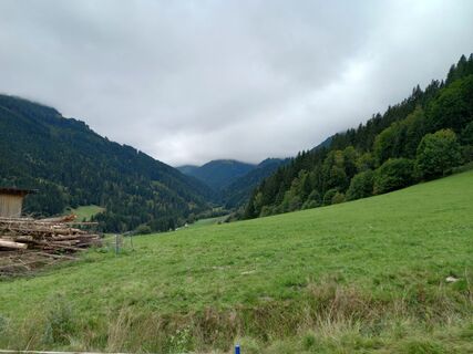 Foto von Tamás Kiss (Mr. Mojo) entlang der Tour