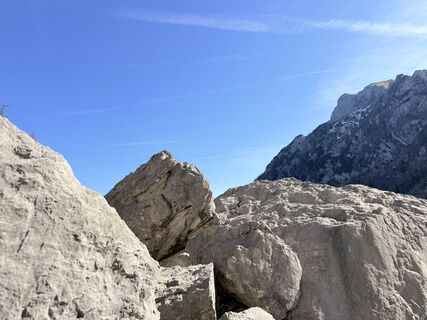 Foto von Natur_erleben_dg entlang der Tour