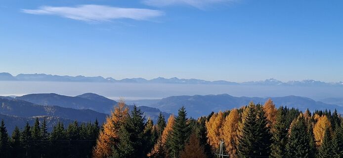 Fotografia z Mario Thomaschütz na trase