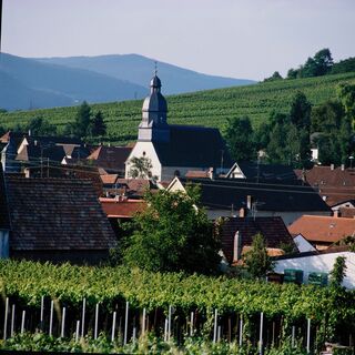 Ilbesheim