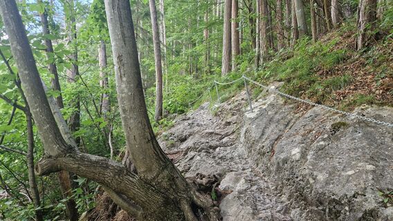 Fotografija s spletne strani EP87 na poti