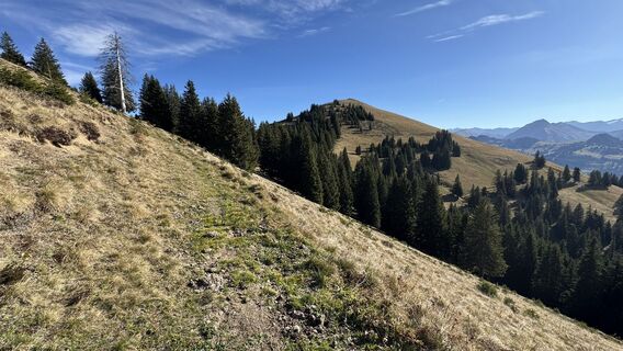 Foto von peter_oe entlang der Tour