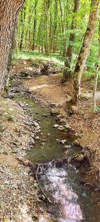 Foto von Landszmann Mónika entlang der Tour