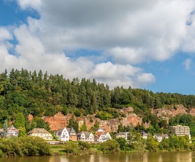 Zurlaubener Moselufer Trier