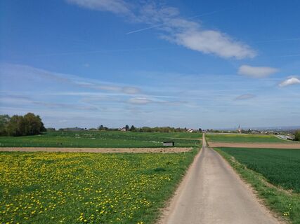 Blick auf Bornheim-Brenig