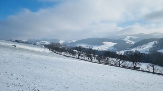 Fotografija s spletne strani dsundt na poti
