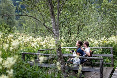 Das Hörfeld Moor genießen