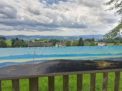 Fotografia z Bellou na trase