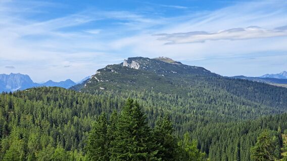 Foto från Gerhard Faugel under resans gång