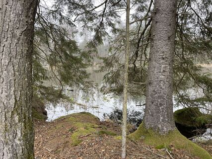 Photo de Harald Knill le long du parcours