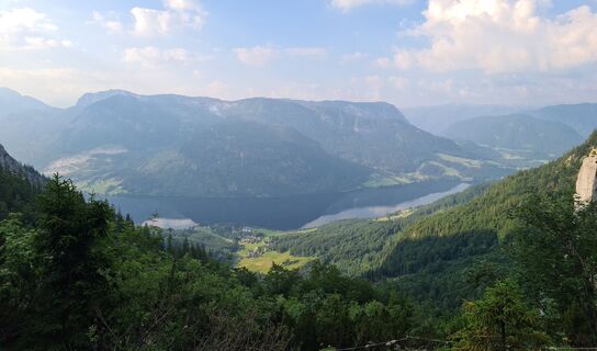 Fotografia z uhu321 na trase