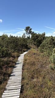 Photo de Richard Vlcek le long du parcours