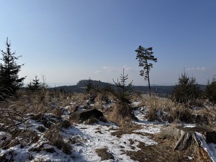 Fotografia z Bernadette Frühauf na trase