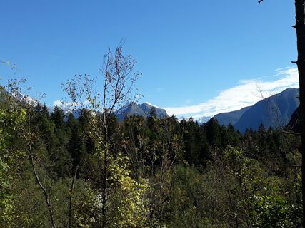 Anstieg durchs Wäldchen