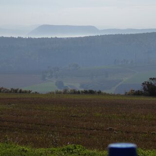 Ausblick zum Kaliberg