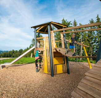 Wildbienen-Spielplatz mit Hängebrücke