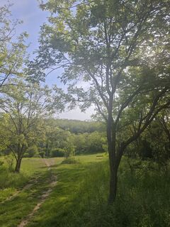 Fotografija s spletne strani Katona Ferk Mariann na poti