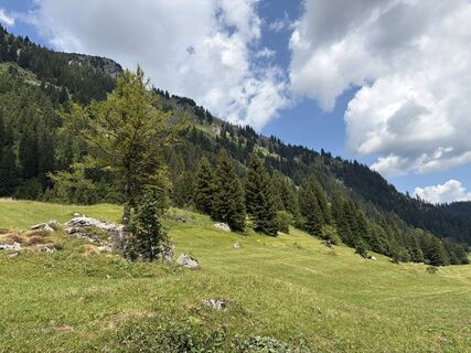 Photo de paul jansen 2 le long du parcours