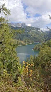Foto von Fuchs Irene entlang der Tour