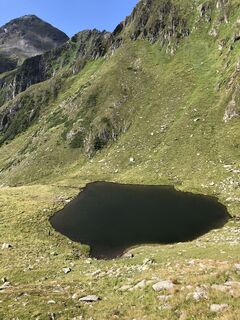 Foto från Schabsi under resans gång