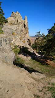 Photo de Betzenbergfex le long du parcours