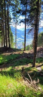 Foto von Nicky entlang der Tour