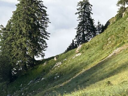 Foto von Stefan Ruhringer entlang der Tour