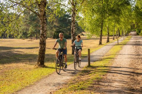 Radfahren in der Misselhorner Heide 