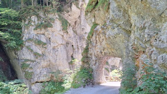 Fotó a Erika Gärber honlapról a túra során