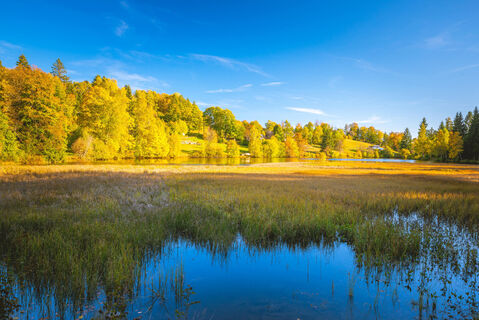 Klosterweiher im Herbst