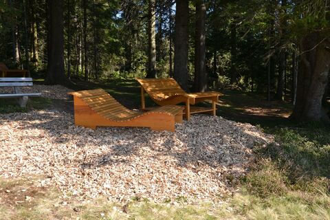 Heilklima-Steig Waldbadestelle Auf der Höh' - Sonnenliegen