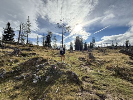 Foto von Natur_erleben_dg entlang der Tour