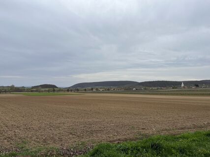 Fotografia z Levente Németh na trase