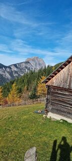 Foto da Mario Libardi lungo il tour