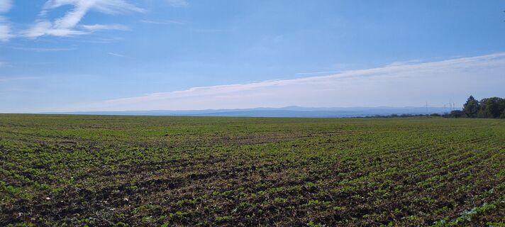 Photo de Betzenbergfex le long du parcours