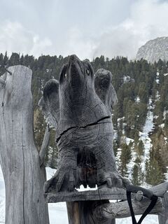 Foto von Grizzli entlang der Tour